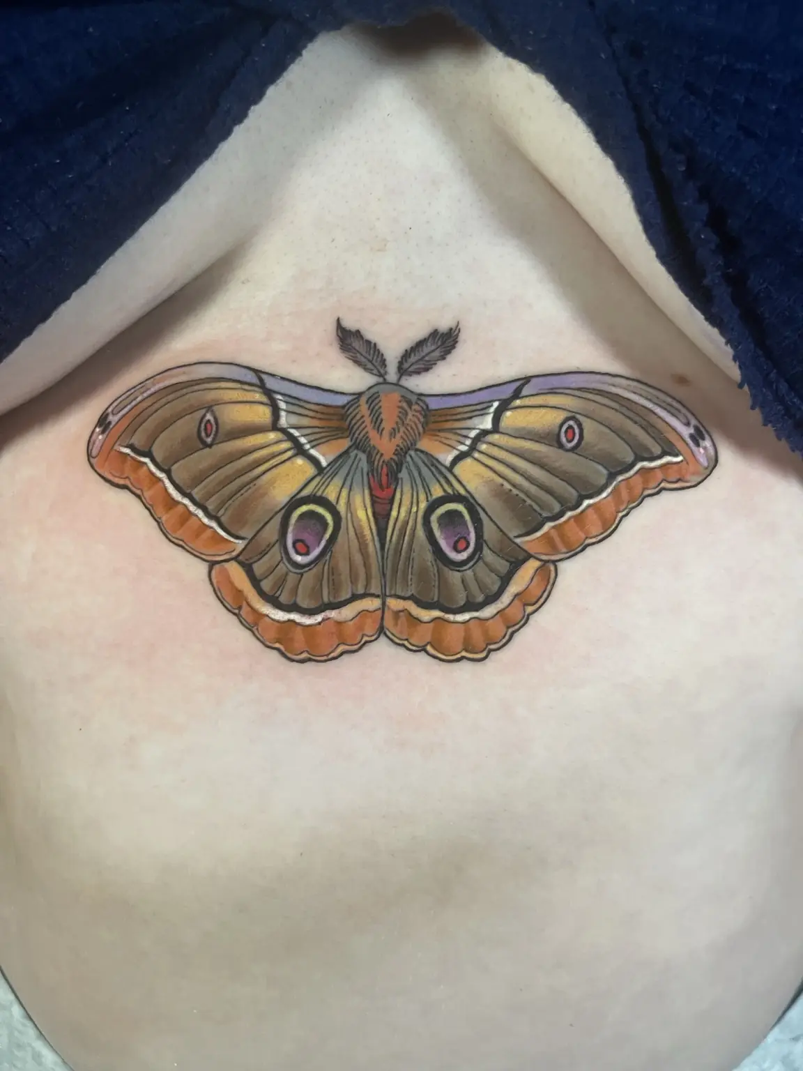 Full-color luna moth chest tattoo by Keith