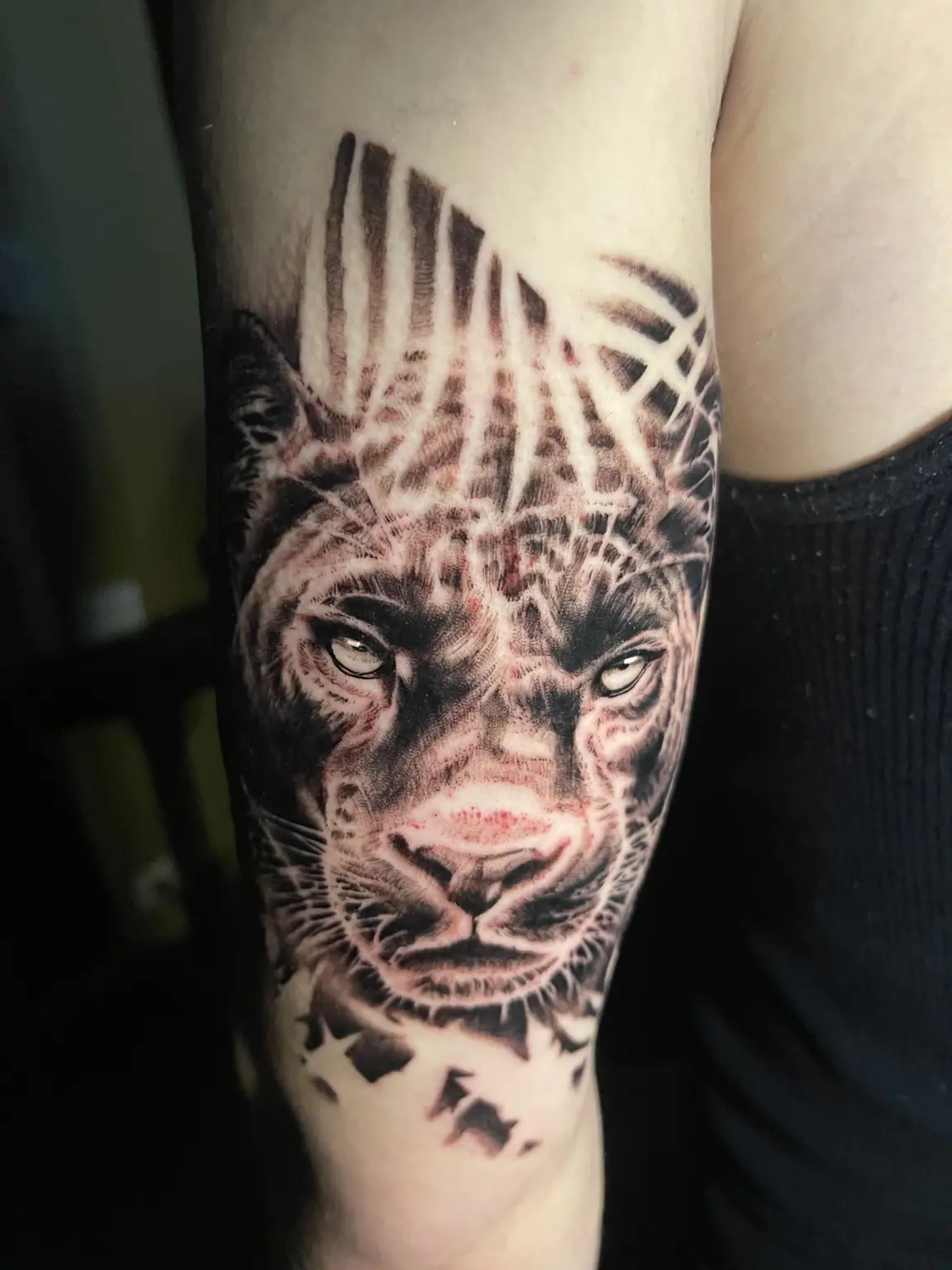 Detailed black-and-gray tiger portrait tattoo by Keith